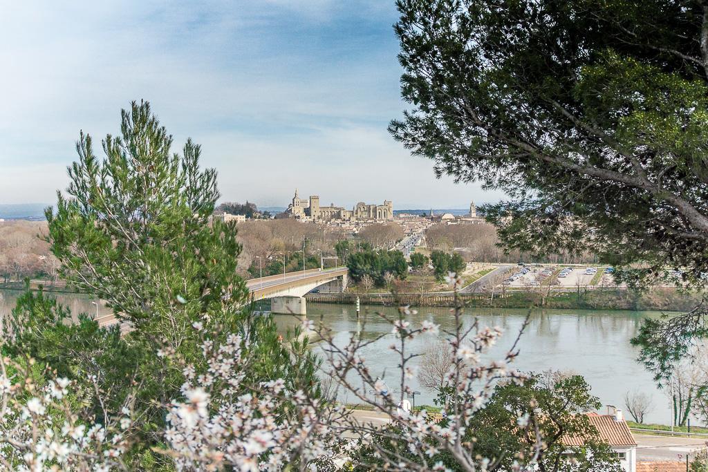 Ymca Villeneuve Les Avignon Hotel Luaran gambar